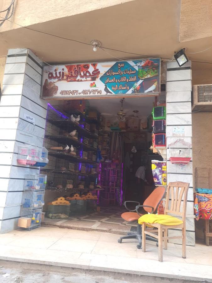 Sea View 3 Bedrooms 3 Toilets 3rd Floor Free Wifi Bellevue Village Agami Families Are Preferred Available Year Days Apartament *